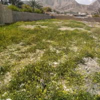 زمین مسکونی