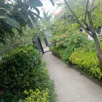 اجاره سوییت یک خواب سلیمان آباد