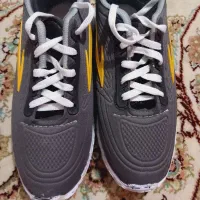 کتونی اسپرت|کیف، کفش، کمربند|اسفراین, |دیوار