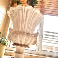 درختچه ، بونسای جنسینگ فیکوس بهمراه ۲عددگلدان لوکس|گل و گیاه طبیعی|تهران, اقدسیه|دیوار