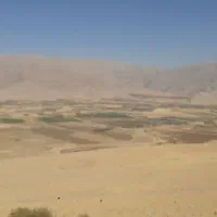 مشورت برای گرفتن سگ