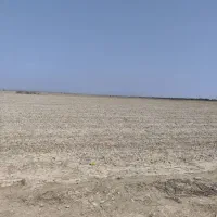 زمین کشاورزی