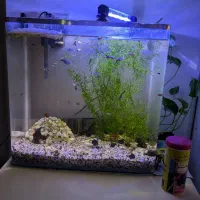 اکواریوم ۳۰.۴۰ ۴۰ لیتری