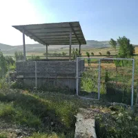 فروش باغچه ۵۰۰ متری سند تک برگ