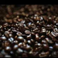 فروش قهوه وپودریجات|کافی‌شاپ و رستوران|ساوه, |دیوار
