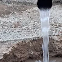 یک هکتار زمین کشاورزی با مجوز ‌گلخانه در نظرآباد