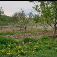 فروش باغ ۲۰۰۰ متری در روستای آلوچ،باامتیازات ویژه|فروش زمین و ملک کلنگی|مشگین شهر, |دیوار
