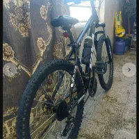 دوچرخه 26 ویوا