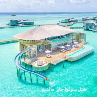 استخدام