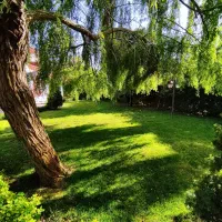 فروش ویلا تاپ لوکیشن شهرک خزرشهر شمالی|فروش خانه و ویلا|بابلسر, |دیوار