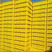 فروش عمده سبد پلاستیکی تولید کننده مستقیم|عمده‌فروشی|کرج, اتمسفر|دیوار