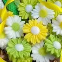 قبول سفارش ساخت گیفت شمعی بابونه و پیونی برای غدیر