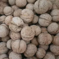 گردودرجه یک|خوردنی و آشامیدنی|شاهینشهر, گرگاب|دیوار