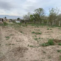 باغ زمین دنگیزک|فروش زمین و ملک کلنگی|تنکمان, |دیوار