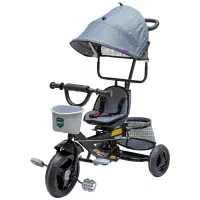 سه چرخه دلیجان مدل کارن