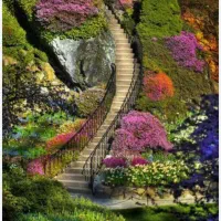 باغ ۵۰۰ متر مرتب