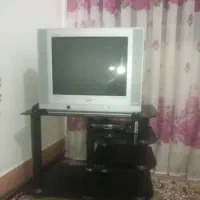 تلویزیون بازیر نو