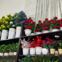 انواع گدان|گل مصنوعی|اهواز, کمپلو جنوبی|دیوار