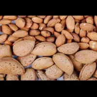بادام مامایی درجه یک صادراتی|خوردنی و آشامیدنی|تهران, ترمینال جنوب|دیوار