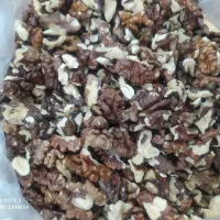 گردوی فسنجانی