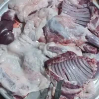 بره بزغاله میش گوسفند بز نذری عقیقه|حیوانات مزرعه|خمینیشهر, |دیوار