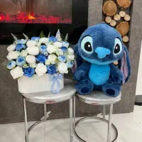 باکس نوزادی و پول آرایی