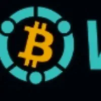 راه اندازی ماینربانت ملی استخرviabtcقدیمی تضمینی