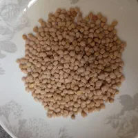 پخش حبوبات|خوردنی و آشامیدنی|شیراز, شهرک استقلال|دیوار