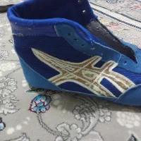 کفش کشتی|کیف، کفش، کمربند|سنقر, |دیوار