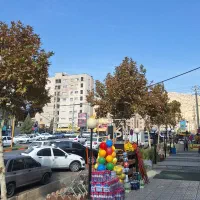 مغازه ۴۲ متری ملکی بر مولانا ،سند تک برگ