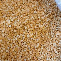 حبوبات درجه یک|عمده‌فروشی|مرودشت, بیست متری بیمارستان|دیوار