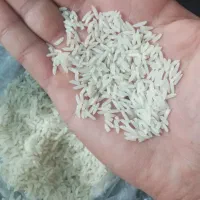 برنج هاشمی درجه یک اعلاء گیلان
