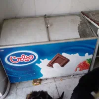 فریزر فندقی ۶۰۰ تابلو تگزاسی بزرگ