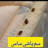 سمپاشی ساس سوسک تمام حشرات 100درصدتضمینی تمام نقاط|خدمات نظافت|مشهد, پورسینا|دیوار