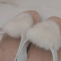 صندل