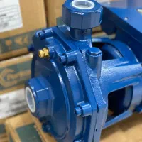 پمپ پنتاکس ۲ اسب دو پروانه ۶ ماه ضمانت سیم پیچ مس|مصالح و تجهیزات ساختمان|رشت, کوی امام رضا|دیوار