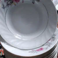 پلوزرین|ظروف سرو و پذیرایی|اراک, |دیوار