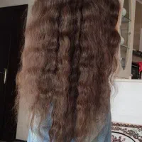 شعبه اصلی مو مریوان