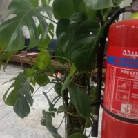 سم پاشی فقط سه میلیون