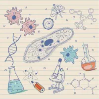 تدریس زیست شناسی توسط دانشجوی پزشکی