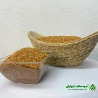فروش کنجد ایرانی با کیفیت عالی