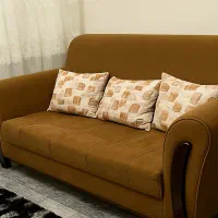 همخانه خانم