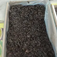 مویز بیدانه درجه یک