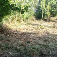 علفتراشی با دستگاه|خدمات باغبانی و درختکاری|لاهیجان, یوسف آباد|دیوار