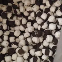 کشک چیپسی رشته دورنگ مشتی زیره دار ساده طعم دار|عمدهفروشی|بیرجند, |دیوار