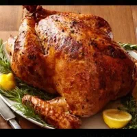 استخدام در مرغ بریانی