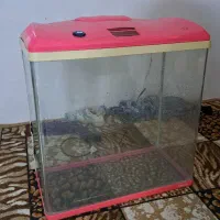 آکواریوم و آینه