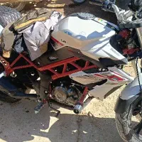 بنلی نیوفیس سفید خشک ۴۰۴