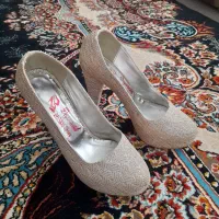کفش مجلسی