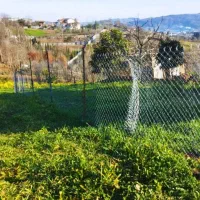 250-متر-زمین-پهنه-کلاه-جنوبی